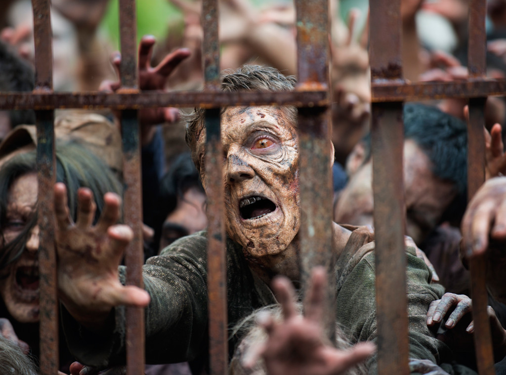 The Walking Dead The Walking Dead